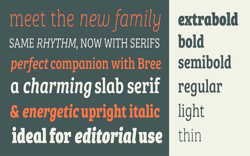 Bree Serif Font Family Free Download
