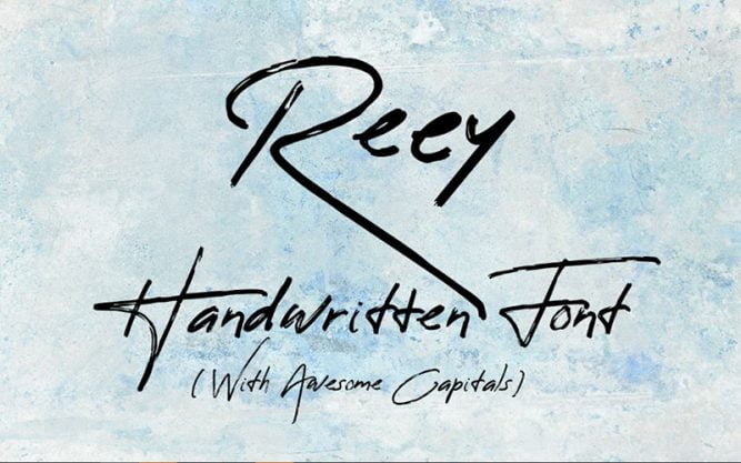 Reey Font Family Free Download