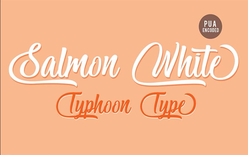 Salmon White Font Family Free Download