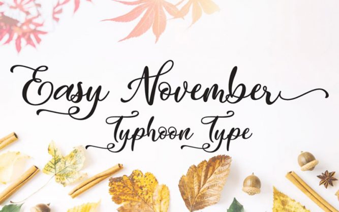 Easy November Font Family Free Download