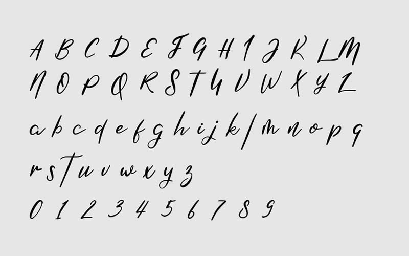 Shirahoshi Font Family Free Download