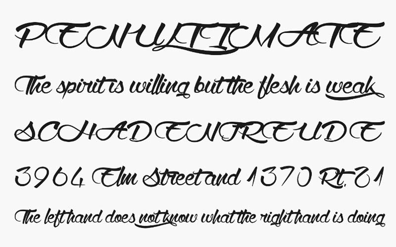 Wolf In The City Font Family Free Download