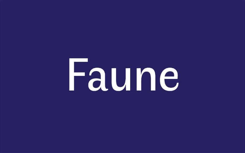 Faune Font Family Download