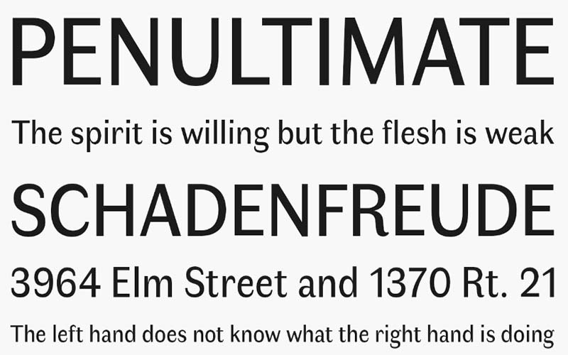 Faune Font Family Free Download
