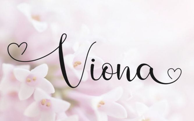 Viona Font Family Free Download