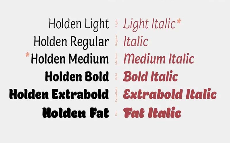 Holden Font Family Free Download