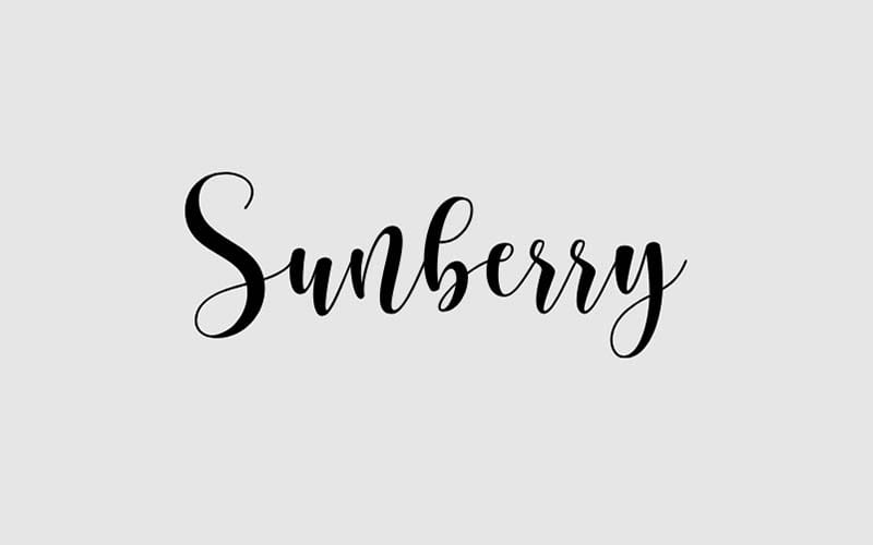 Sunberry Font Family Free Download