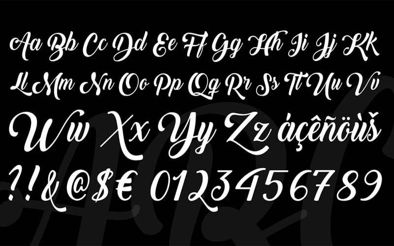 Back to Black Font Family Download