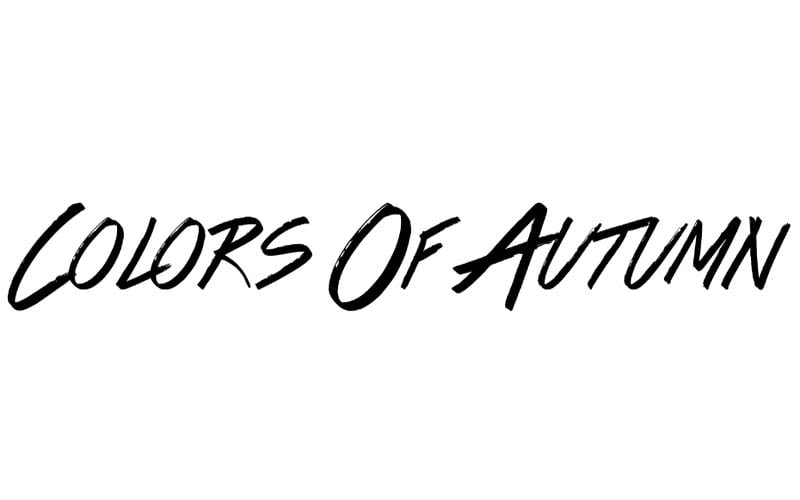 Colors of Autumn Font Family Free Download