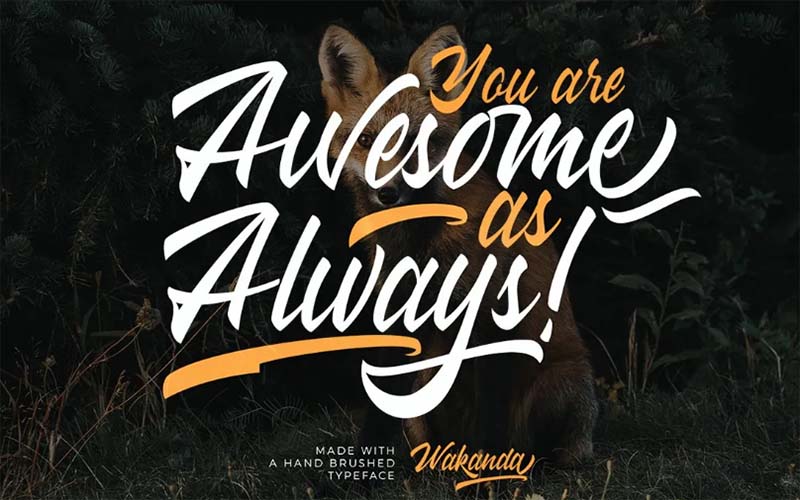 Wakanda Font Free Family Download