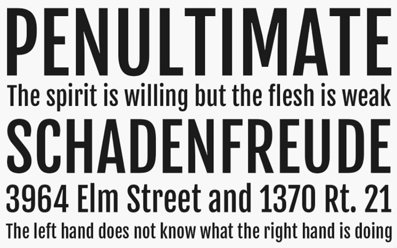 Fjalla One Font Family Free Download