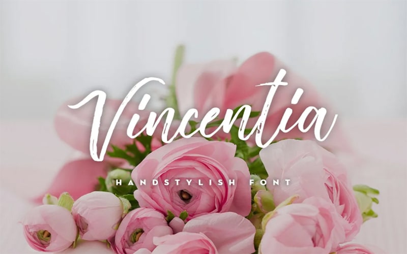 Vincentia Handstylish Font Family Free Download