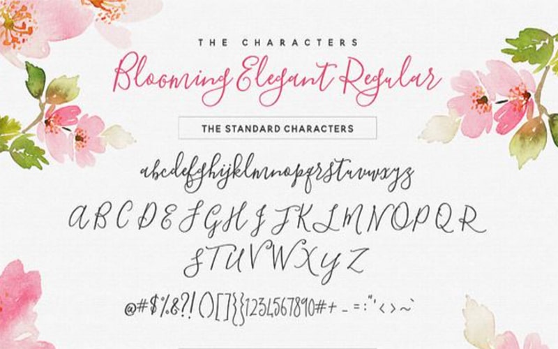Blooming Elegant Font Family Download