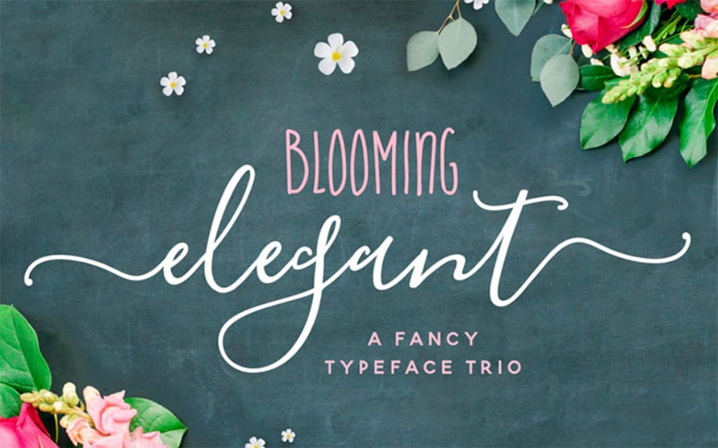 Blooming Elegant Font Free Download