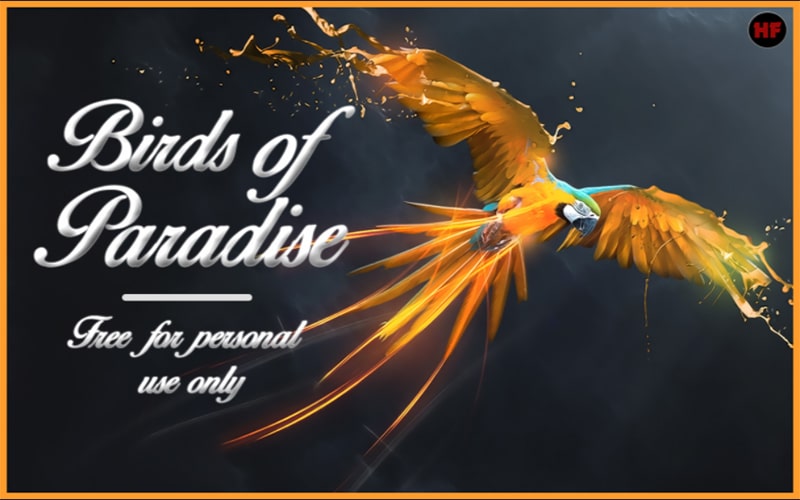 Birds of Paradise Font Free Download