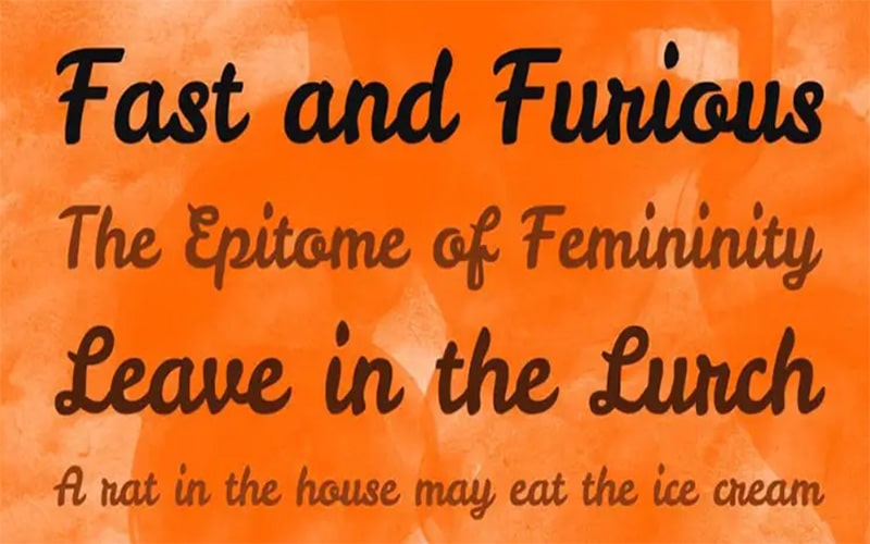 Leckerli Font Family Download