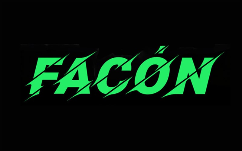 Facon Font Family Free Download