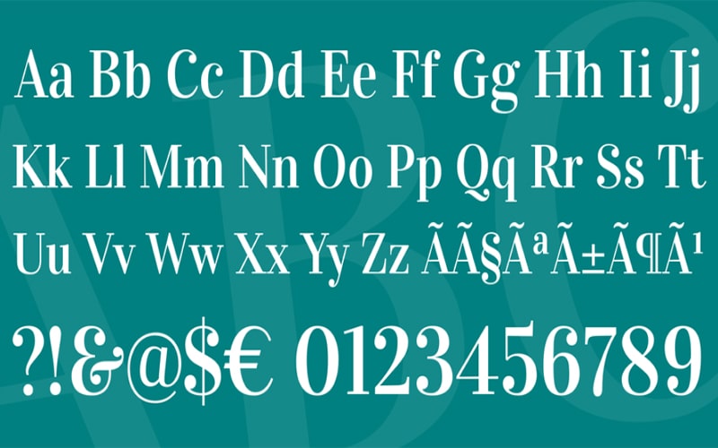 Vidaloka Font Family Download