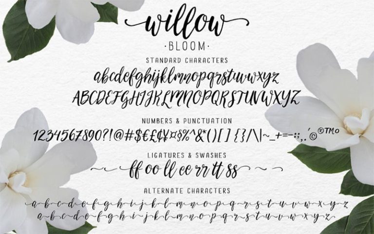 Willow Script Font Free Download