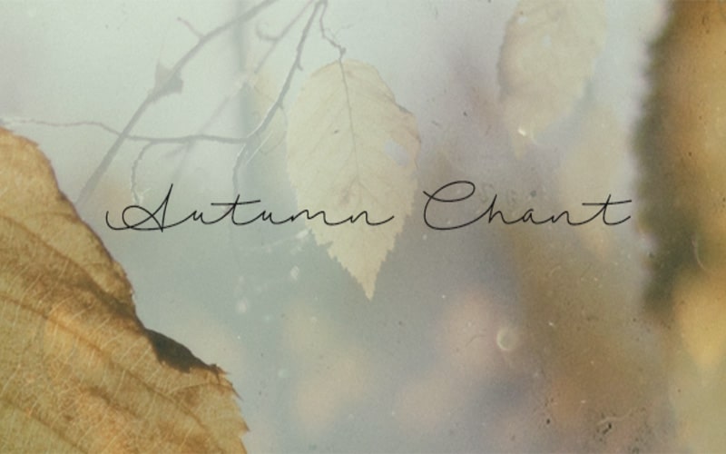 Autumn Chant Font Family Download