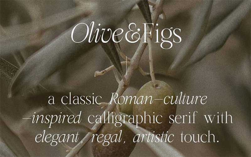 Olive and Figs Font Family Free Download