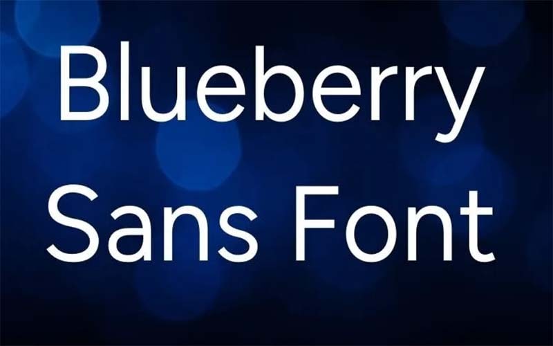 Blueberry Sans Font Family Free Download