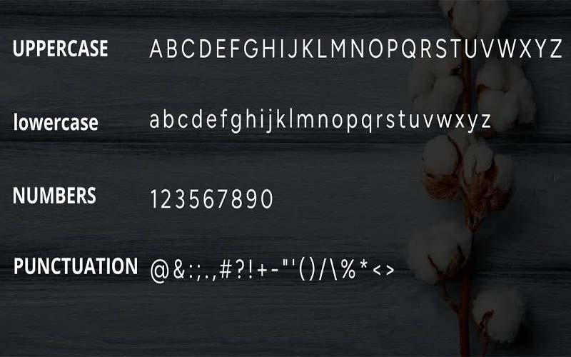 Blueberry Sans Font Family Free Download