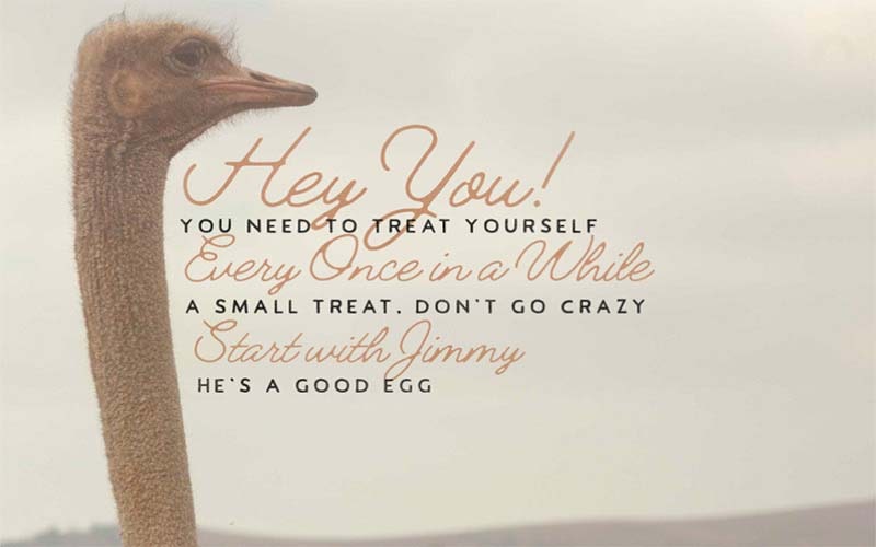 Jimmy Script Font Free Download