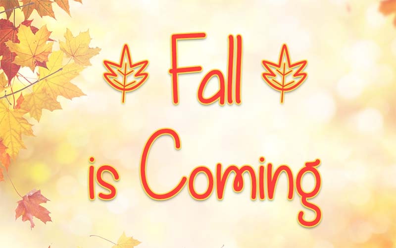 Fall Is Coming Font Family Free Download