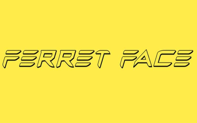 Ferret Face Font Family Free Download