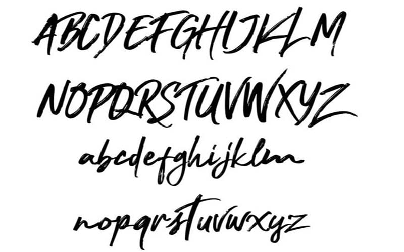 Nocturnal Font Family Free Download