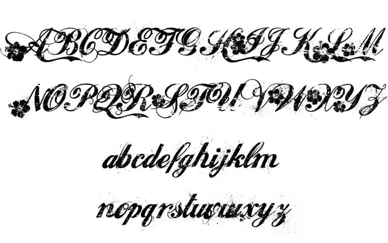 Hawaii Lover Font Family Free Download