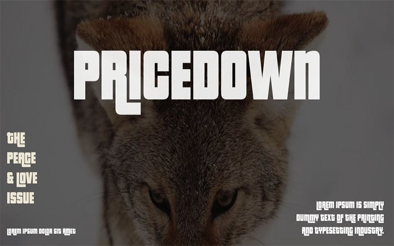 Pricedown Font Family Free Download