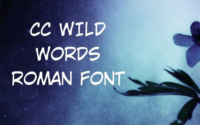 CC Wild Words Roman Font Family Download