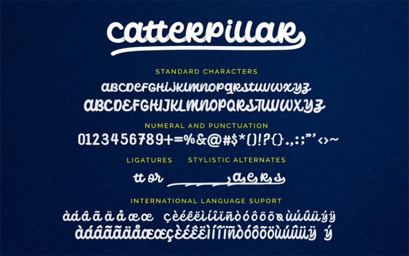 Catterpillar Font Family Free Download