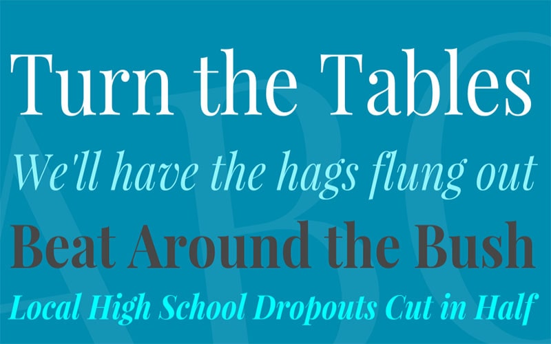 Playfair Display Font Family Free Download