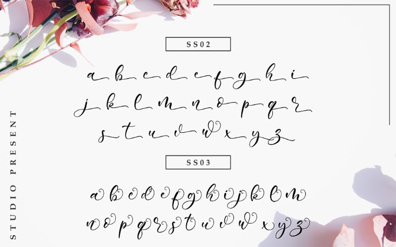 Sweet Bunny Font Family Free Download