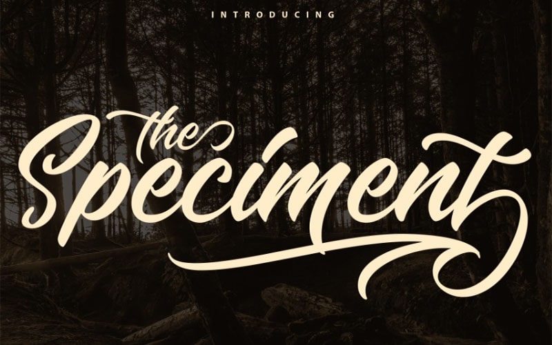 The Speciment Font Free Family Download